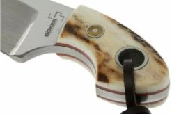Böker Plus Gnome Stag 02BO268 -Böker BO02BO268 04 boker plus gnome stag bo02bo268 d4
