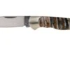 Böker Junior Scout Mammuth 111990 Gentleman's Knife