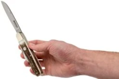 Böker Enigma Stag Horn 113031 Pocket Knife 11 Böker Enigma Stag Horn 113031 Pocket Knife -Böker BO113031 05 boker