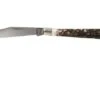 Böker Delicate Stag 119955 Pocket Knife -Böker BO119955 01 boker