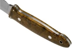 Böker Cub Curly Birch 127661 Fixed Knife, Lucas Burnley Design -Böker BO127661 04 boker